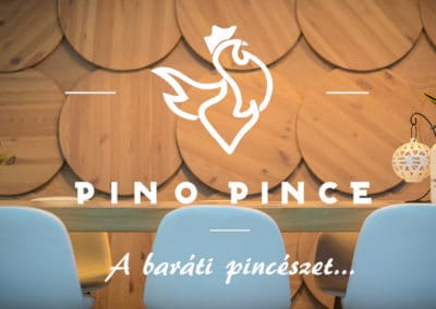 Pino pince ajanlo-cover
